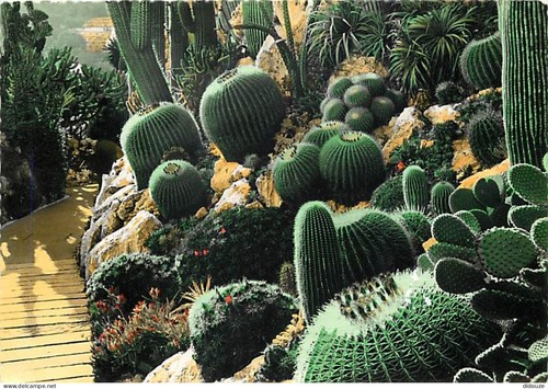 Carte postale fleurs - -,