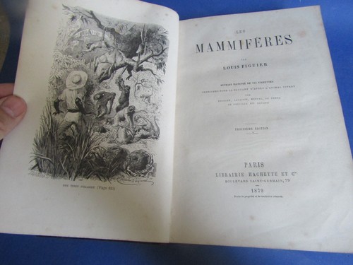 Louis figuier mammiferes - louis,