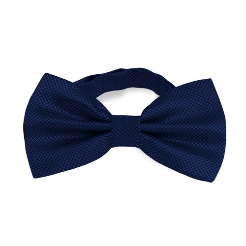 Noeud papillon élégant - , à