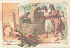 Chromo ALGERIE Moulin à