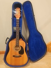 Jasmine by Takamine S35 Guitar
