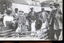 VEZELAY MARCHE AUX COCHONS 