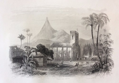 Les pamplemousses ile colombie - pamplemousses,