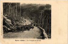 PC LEBANON TROUPEAU DE CHEVRES