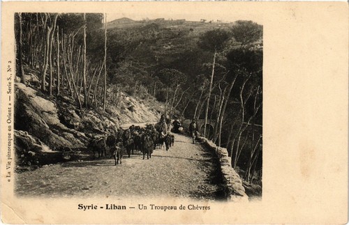 Lebanon troupeau chevres - troupeau,