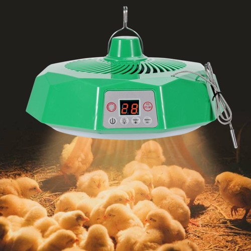 Lampe couveuse à - de,