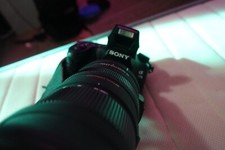 KIT PHOTO ANIMALIERE SONY A77 2  WIFI Objectif Sigma 50-500mm F4.5-6.3 APO HSM