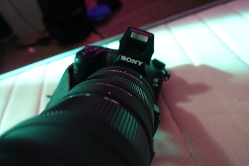 Kit photo animaliere sony - kit, a77