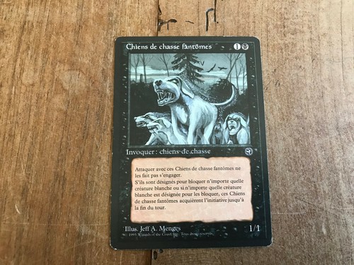 Carte magic the gathering - carte,