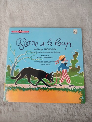 Livre disque vinyle - vinyle, 33t