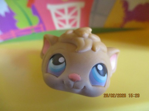 Petshop cochon inde - petshop,