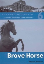 Sharon Siamon Brave Horse (Poche) Mustang Mountain