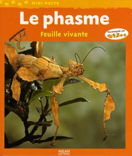 Phasme feuille vivante - phasme, :