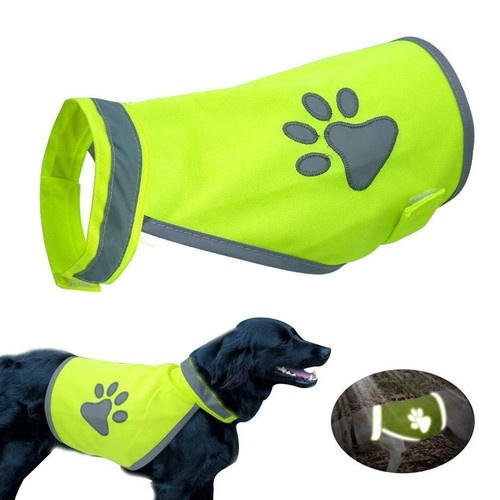 Chien sécurité - chien,