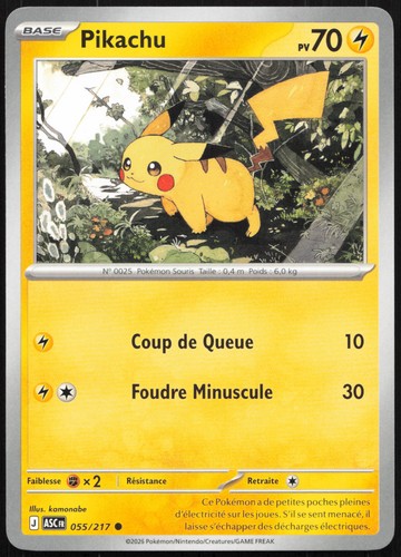 Carte pokémon pikachu 055 217 - carte,