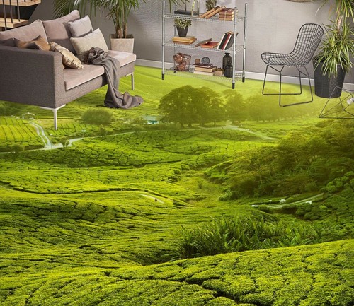 Prairies vertes 1955 - prairies, 3d