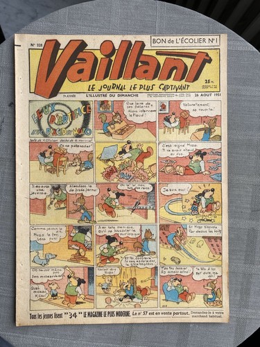 Vaillant journal plus - le,