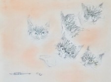 Claude VIETHO - Dessin original - Crayons - Etude de chat