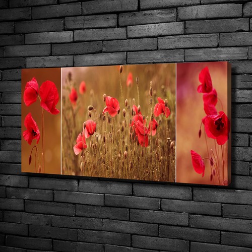 Tulup tableaux sur toile image - tableaux,