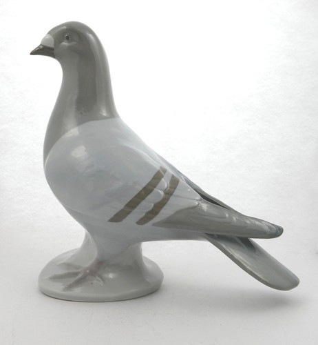 Pigeon taille réelle - taille,
