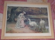 jeune femme nourrir les cygnes