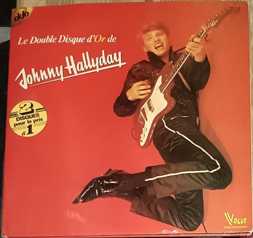 Johnny hallyday double - hallyday,