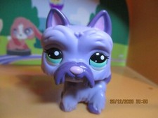 Petshop chien westie  #2241