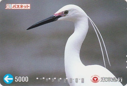 Carte japon animal - japon, oiseau