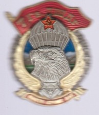 BADGE 7 DIVISION ASSAULT