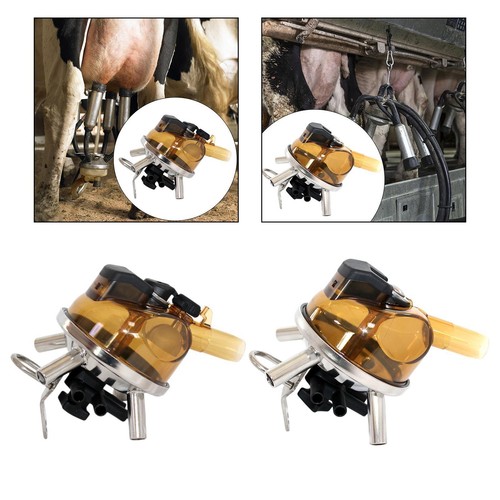 Collecteur lait vache - lait, de