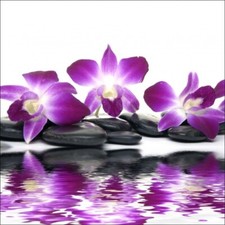 3 Sticker boites aux lettres