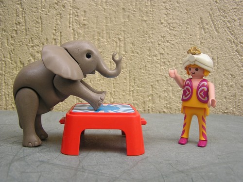 Playmobil éléphanteau - :,