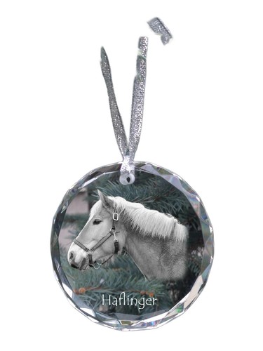 Haflinger médaille cristal - en,
