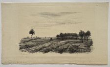 Bois Pins Lande JEAN FRELAUT