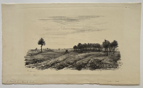 Bois pins lande jean frelaut - bois,
