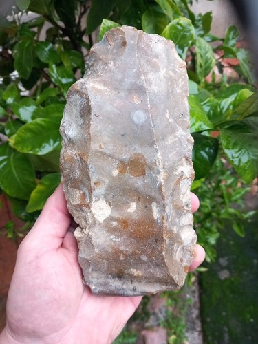 Archéologie préhistoire - archéologie,