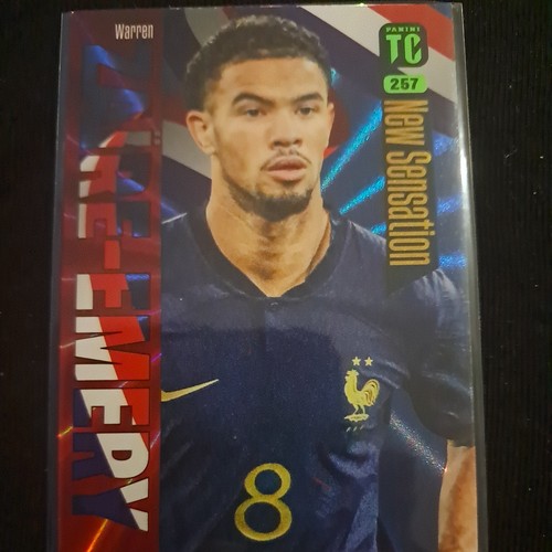 Carte panini top class 2024 - carte,
