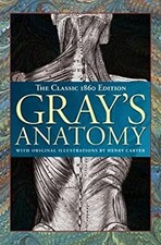 Gray's Anatomy Broché H. V., Gray, Henry Carter