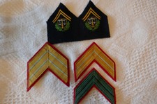 insigne patte de col ancienne à identifier brodée et galons OR (Spahis ?) ancien