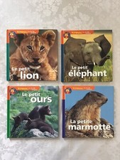 Lot de 4 Livres sur les Animaux Titouli Lion Ours Éléphant et La Marmotte
