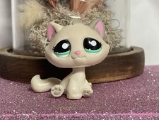 🌸Petshop Chat Gouttière