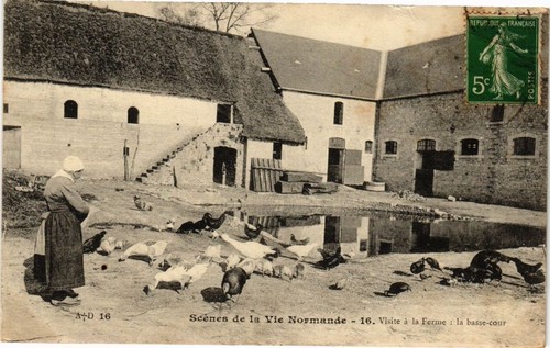 Cpa scene vie - cpa,