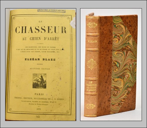 Chasseur chien d arrêt - le, au
