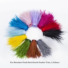Ruban Luxueux fourrure plumes