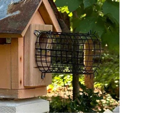 Birdhouse predator guard - guard, |