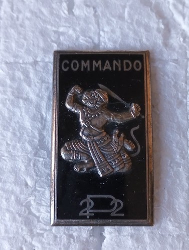 Insignes militaires commando - insignes,