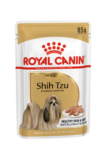 Shih tzu adulte pâté - shih, en