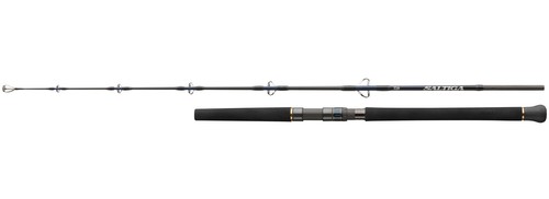 Daiwa saltiga jigging ft - saltiga, 5,8