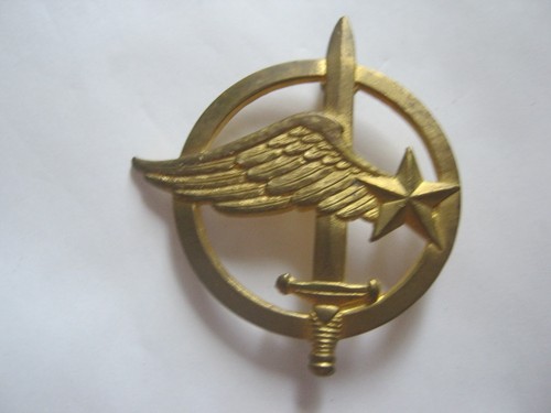 Insigne beret des commandos - de,