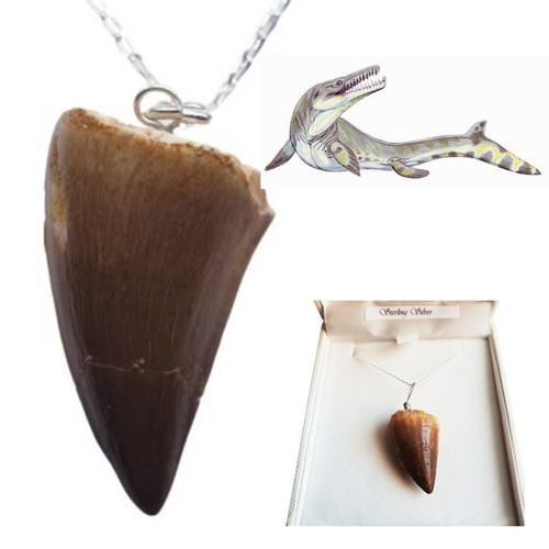 Collier dent mosasaure - dent, de